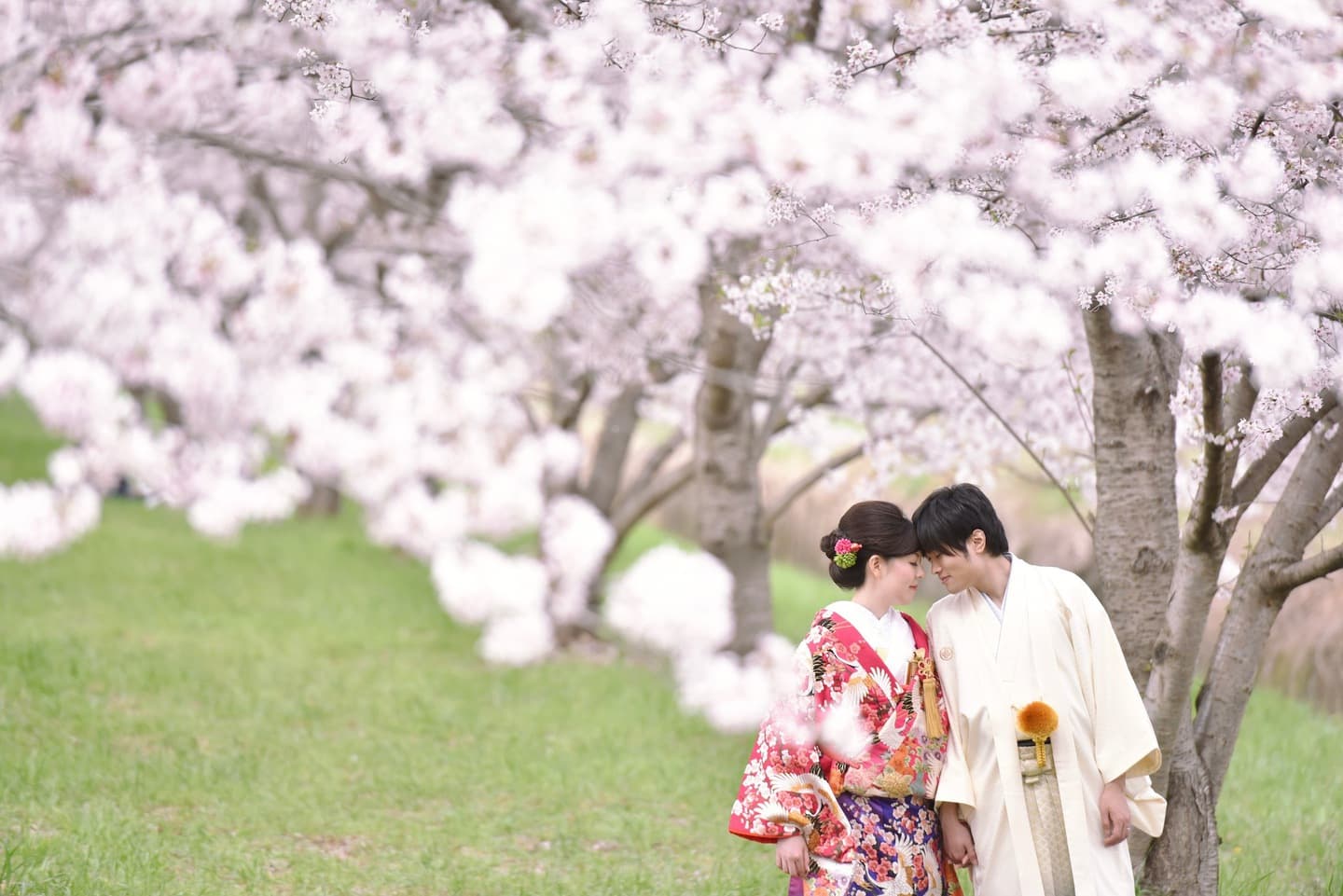 和装着物を着た花嫁様と紋付羽織袴の新郎様の写真