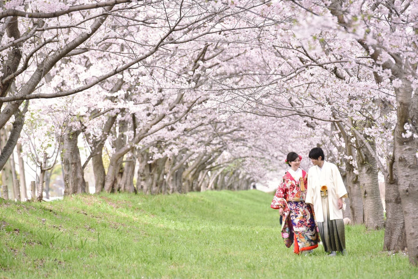 和装着物を着た花嫁様と紋付羽織袴の新郎様の写真