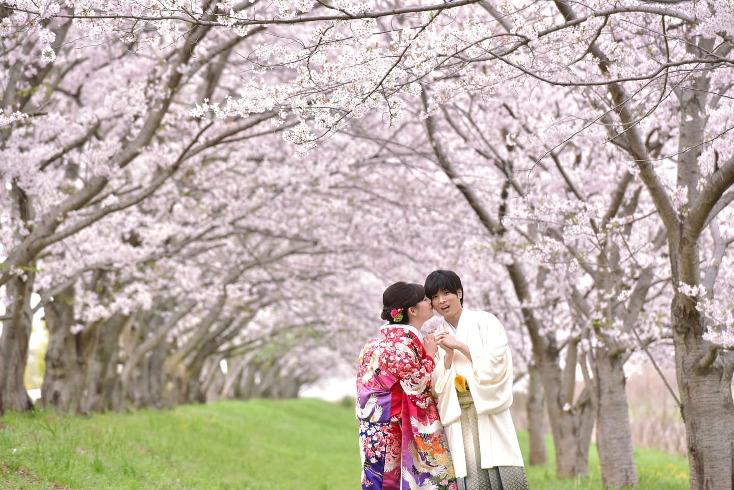 和装着物を着た花嫁様と紋付羽織袴の新郎様の写真