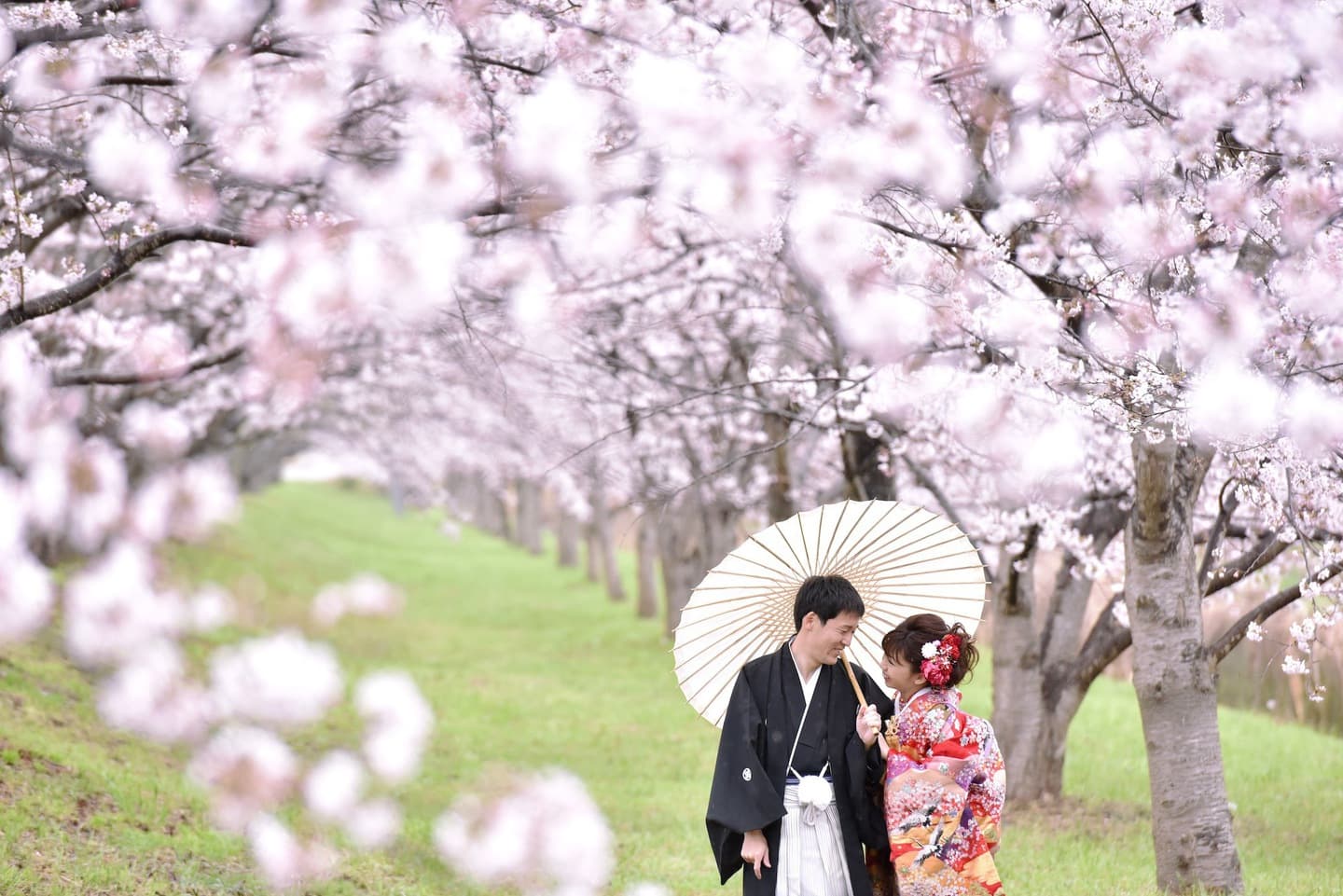 和装着物を着た花嫁様と紋付羽織袴の新郎様の写真