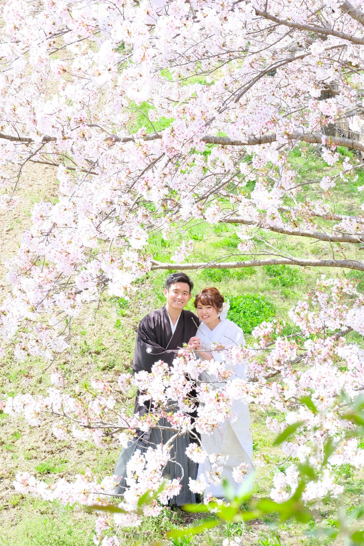 和装着物を着た花嫁様と紋付羽織袴の新郎様の写真