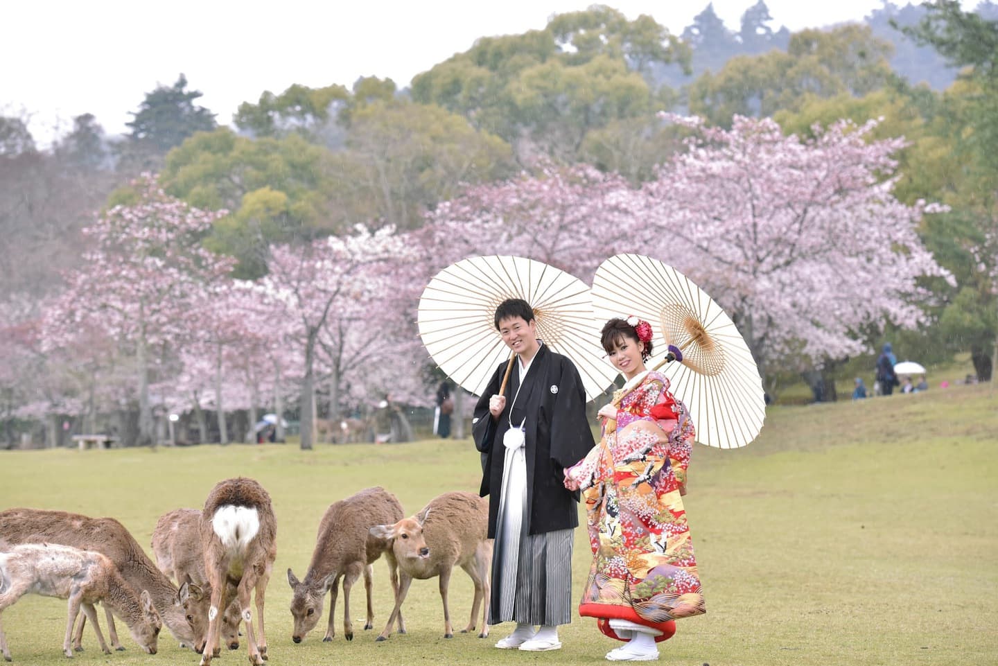 雨の前撮りロケーション撮影のフォトウエディング