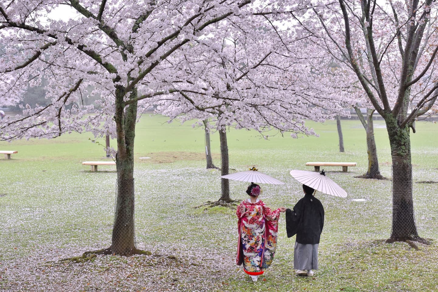 雨の前撮りロケーション撮影のフォトウエディング