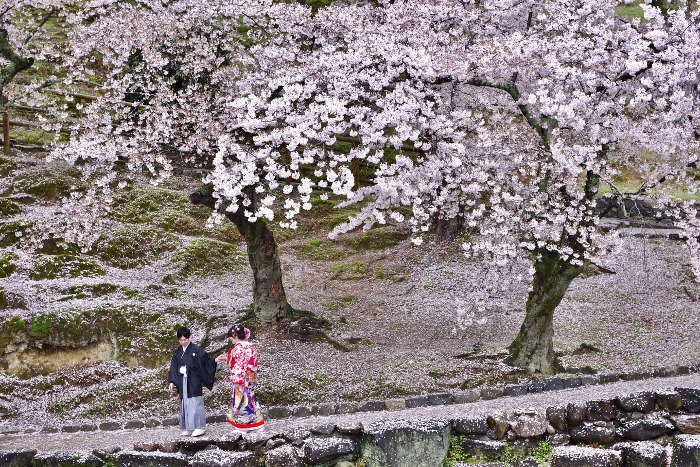 雨の前撮りロケーション撮影のフォトウエディング