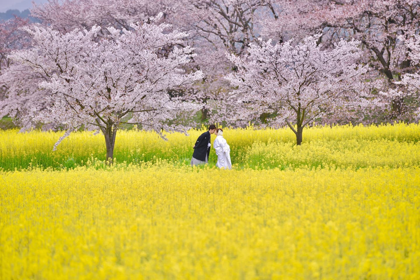 雨の前撮りロケーション撮影のフォトウエディング