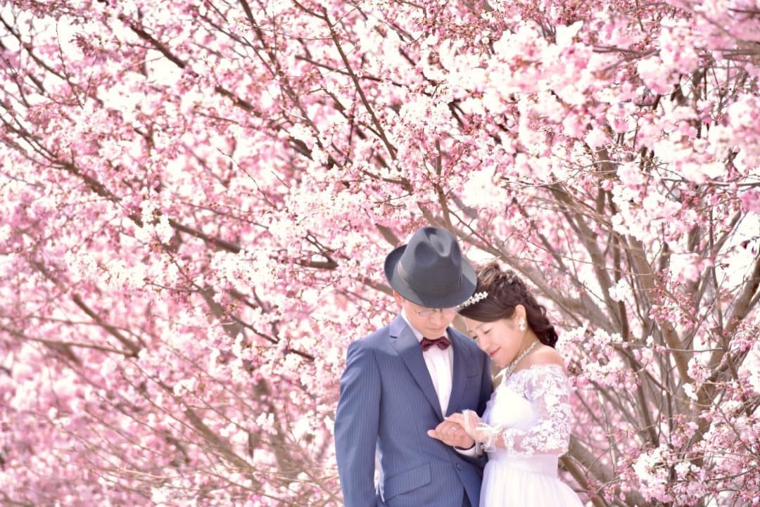 奈良の桜でドレスの結婚写真