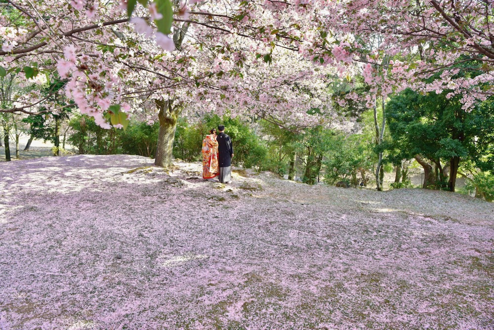 奈良フォトウエディングの写真