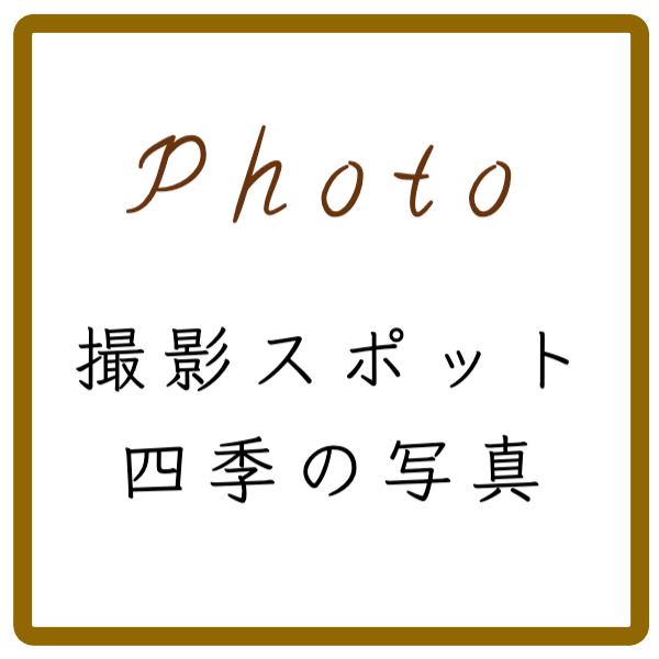 奈良前撮りフォトウェディングのプラン