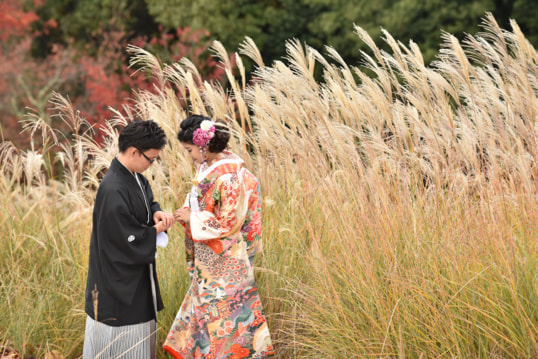 赤い色打掛豪華美しいレンタル