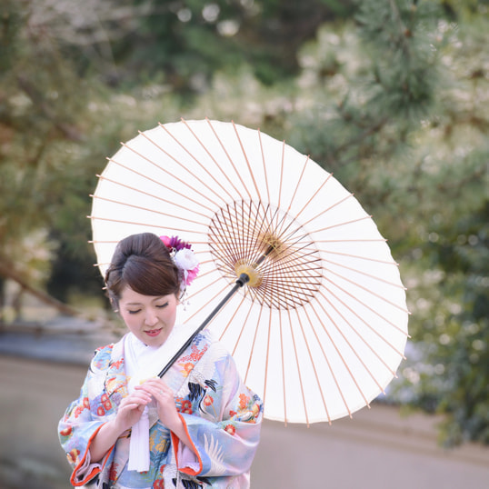 水色青赤い色打掛豪華美しいレンタル