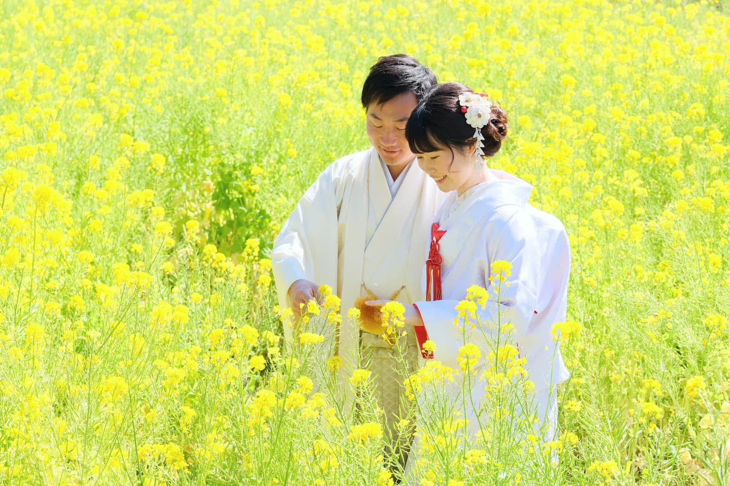 奈良のフォトウエディングの写真