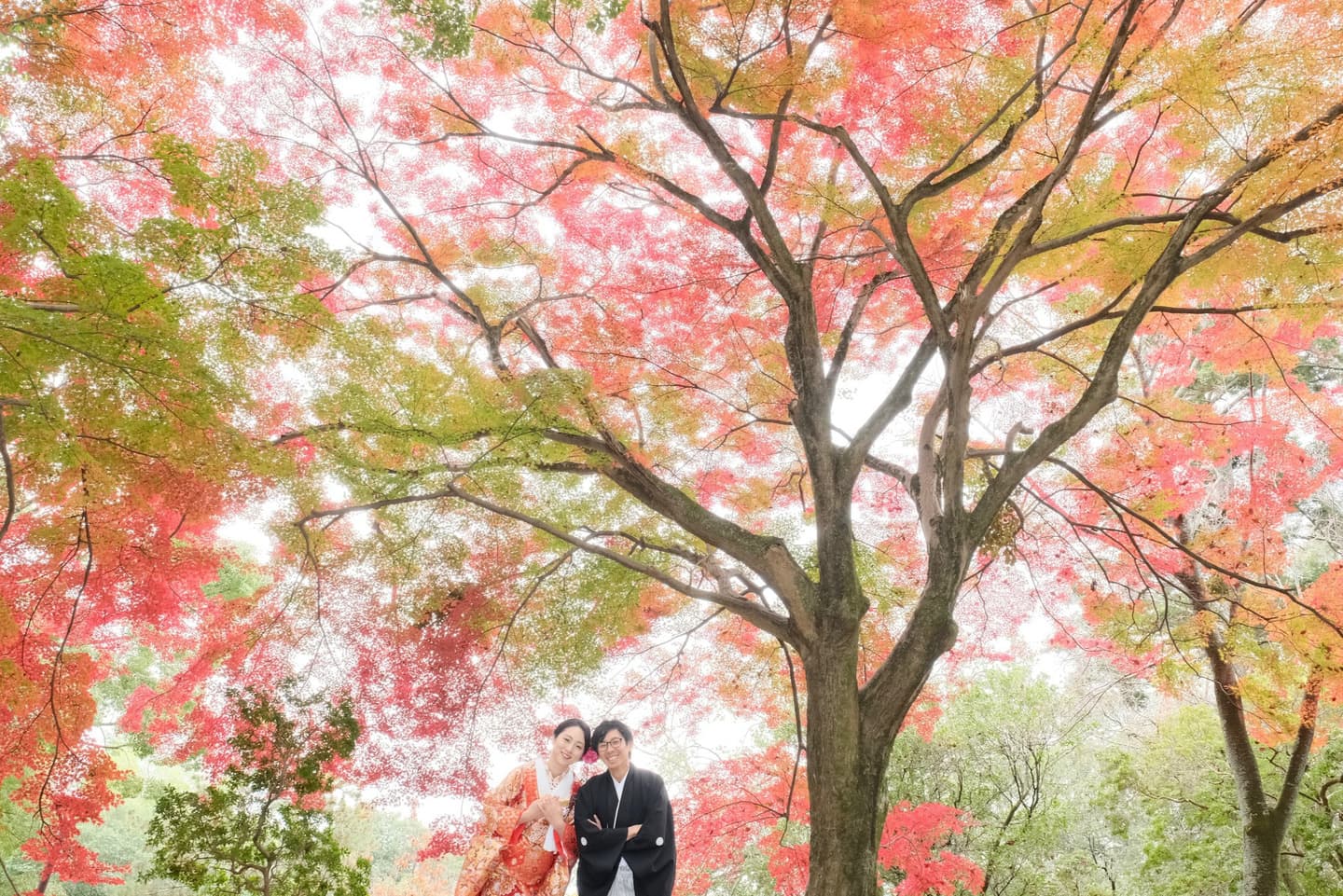 奈良のフォトウエディングの写真