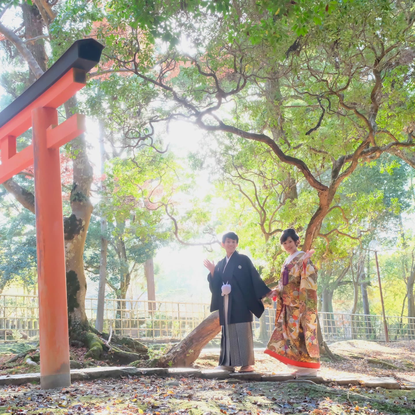 和装神社結婚式のレンタル色打掛