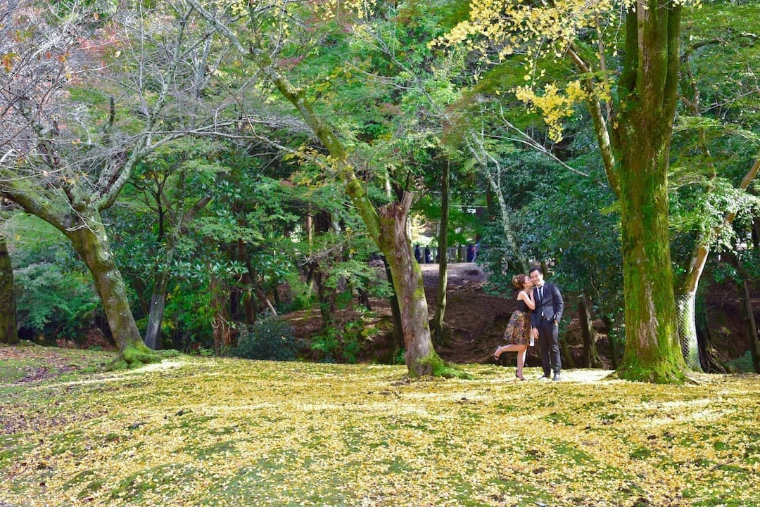 奈良でドレスの結婚写真