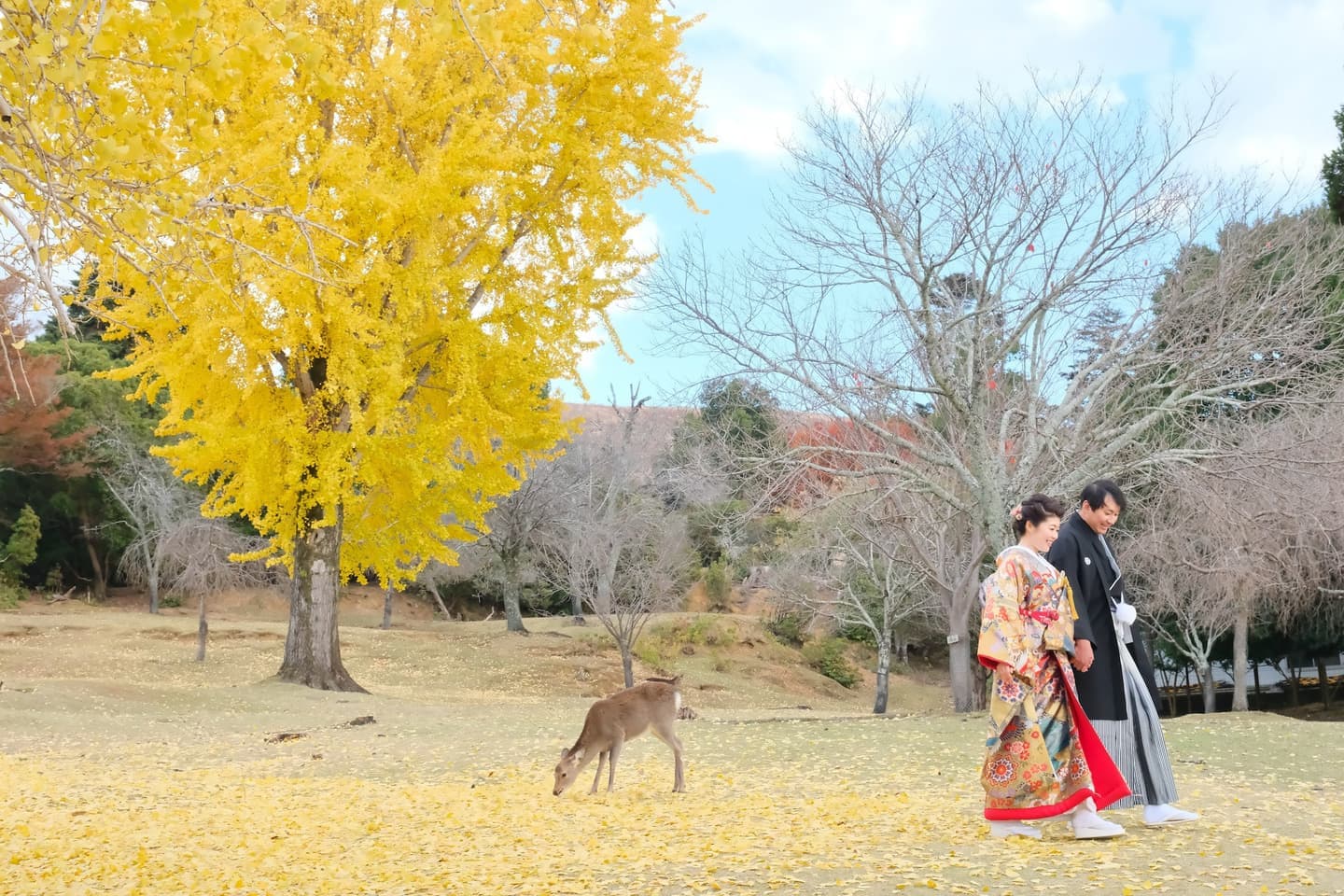 奈良で和装前撮りフォトウェディングの写真