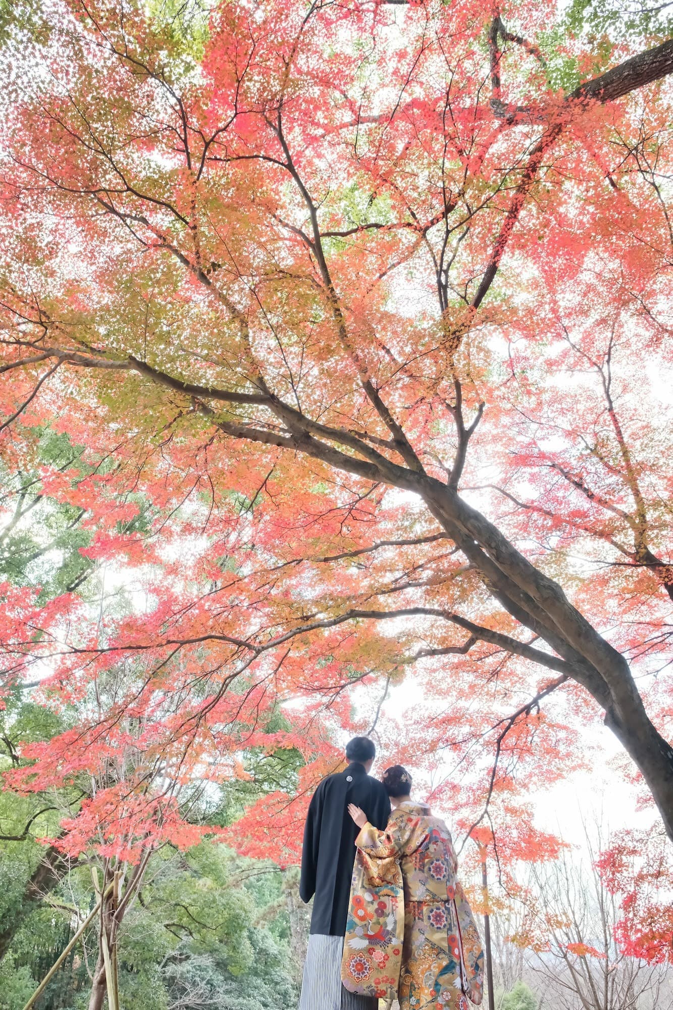 奈良で和装前撮りフォトウェディングの写真