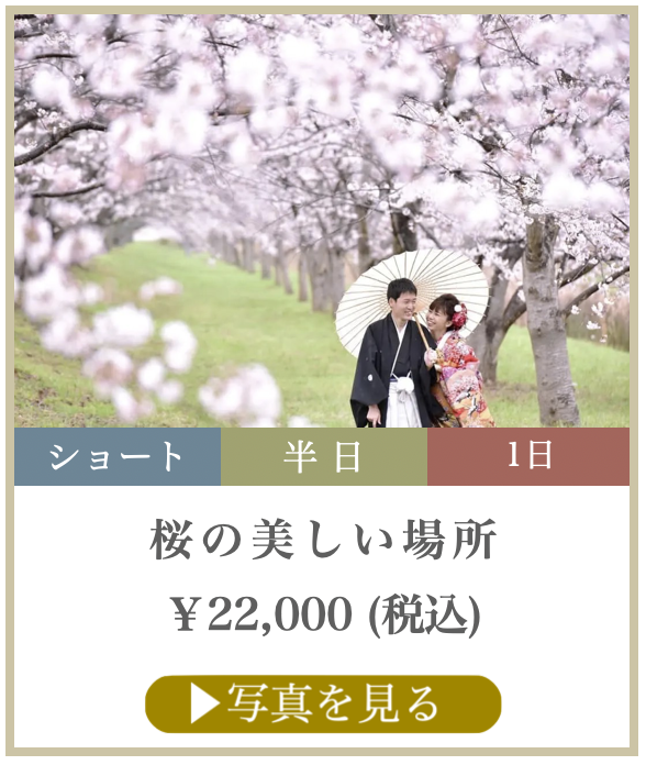 桜の美しい場所