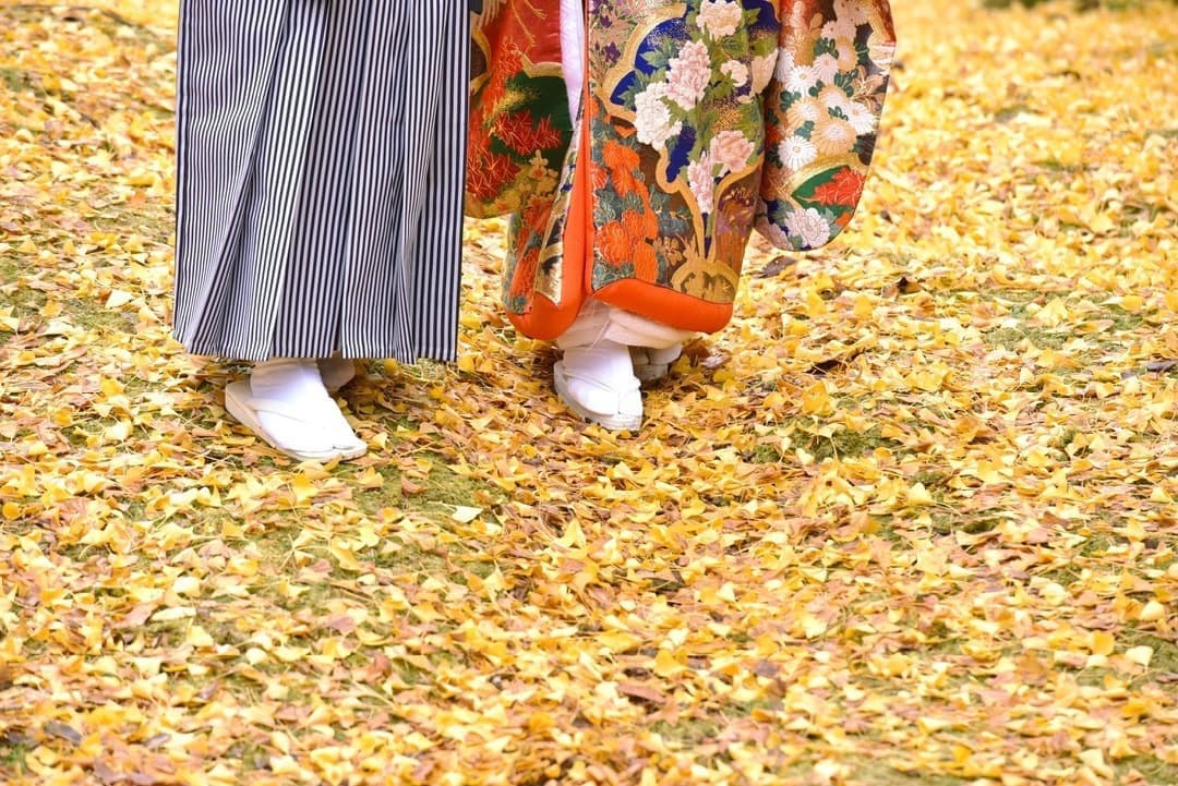 奈良前撮りの写真