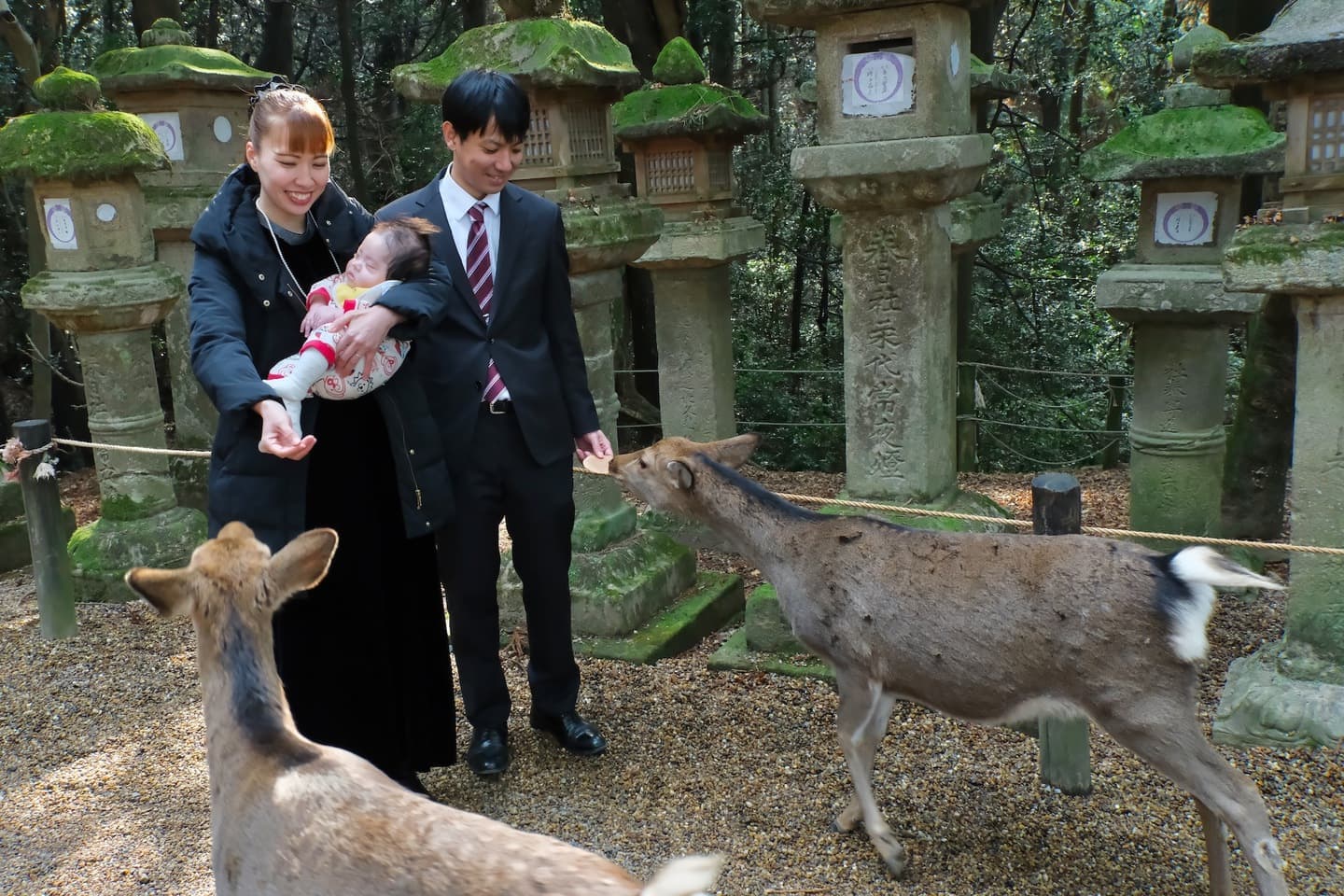 春日大社の駐車場について