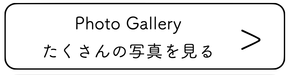 お宮参りの写真を見る