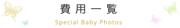 お宮参りの費用一覧