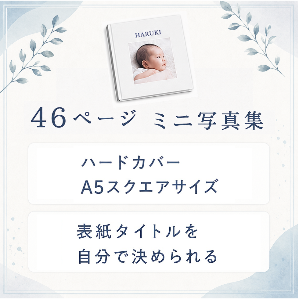 46ページミニ写真集