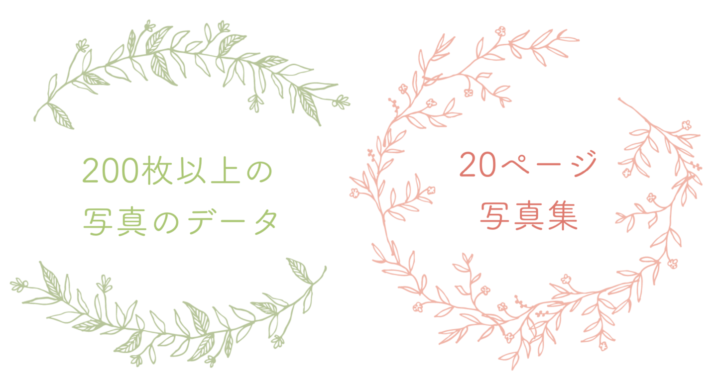 お宮参りは200枚以上の写真データと写真集