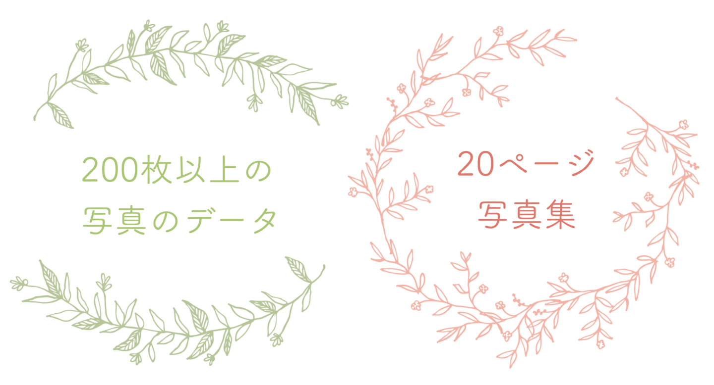 お宮参りは２００枚以上の写真データと写真集