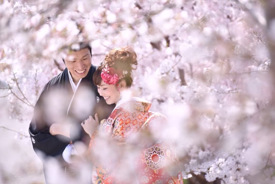 奈良前撮り桜の写真