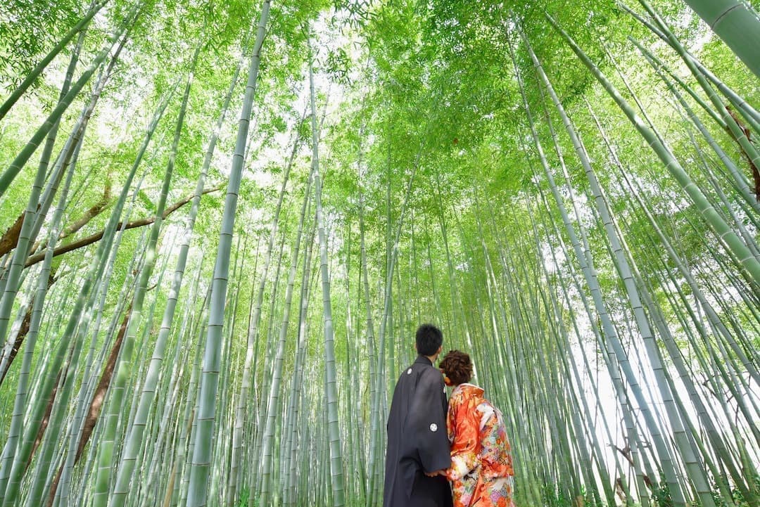 結婚写真だけプランの和装の花嫁
