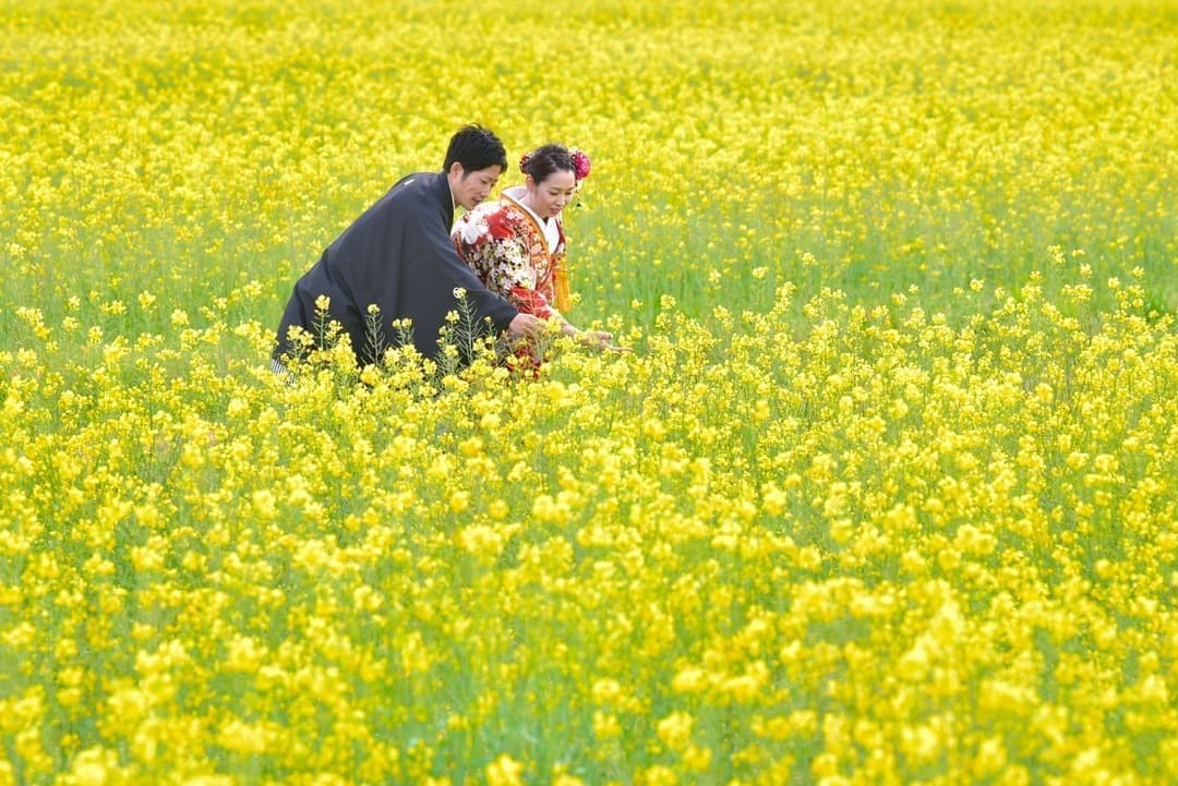 結婚写真だけプランの和装の花嫁