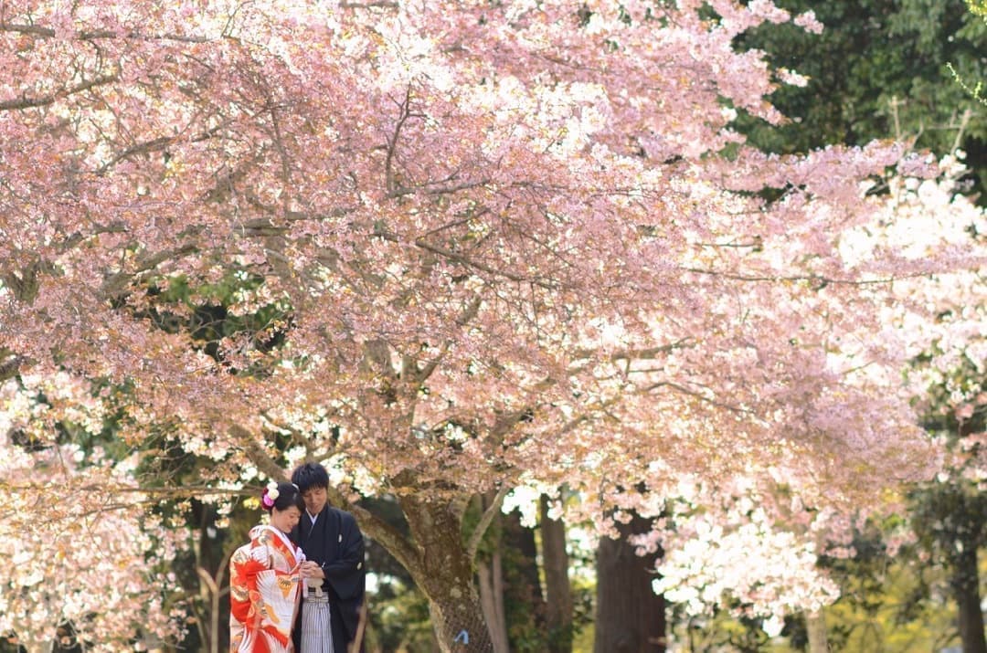 和装結婚前撮り写真