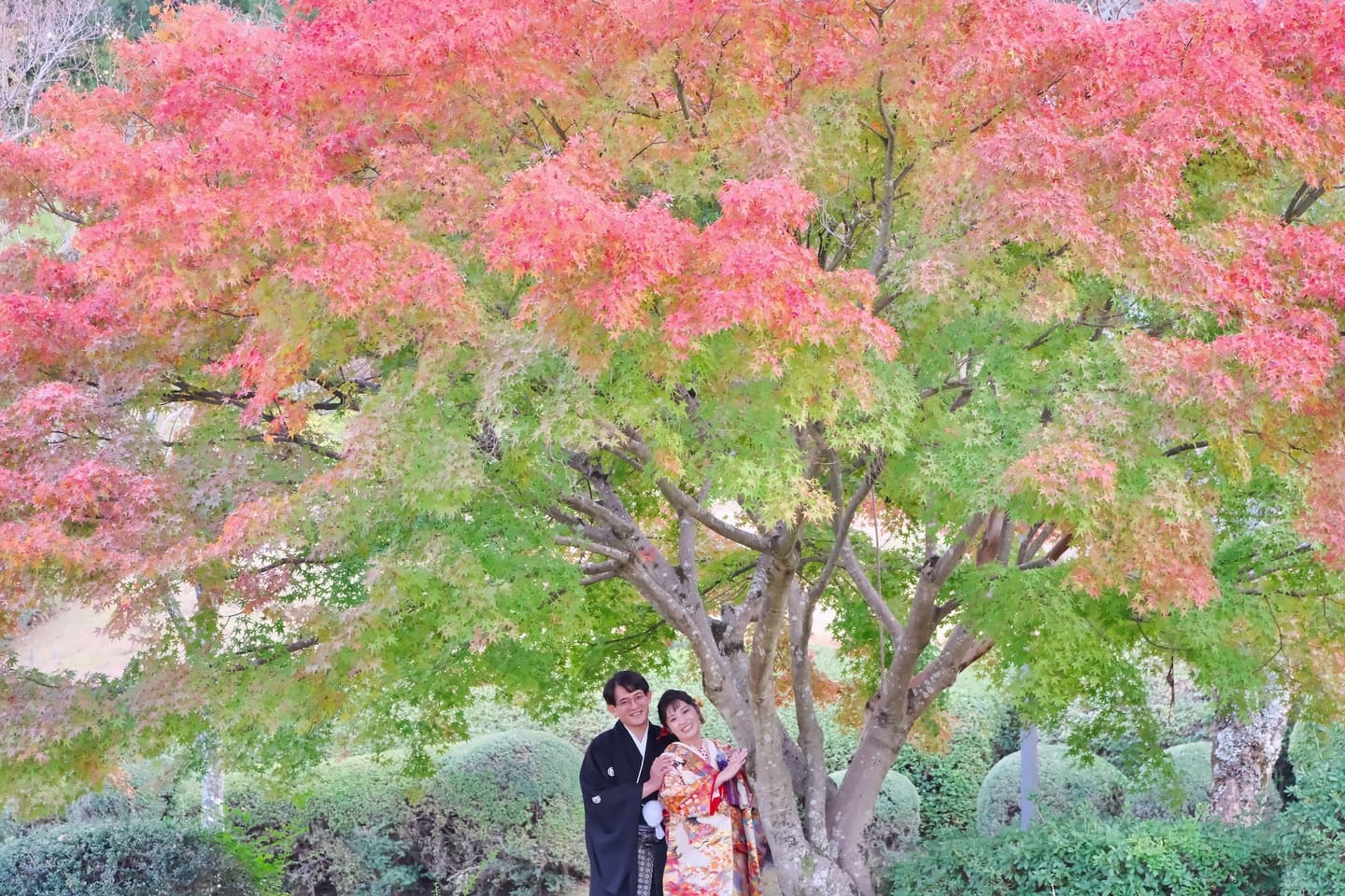色打掛を着た花嫁様と紋付羽織袴を着た新郎様が滋賀でフォトウェディングを撮っている