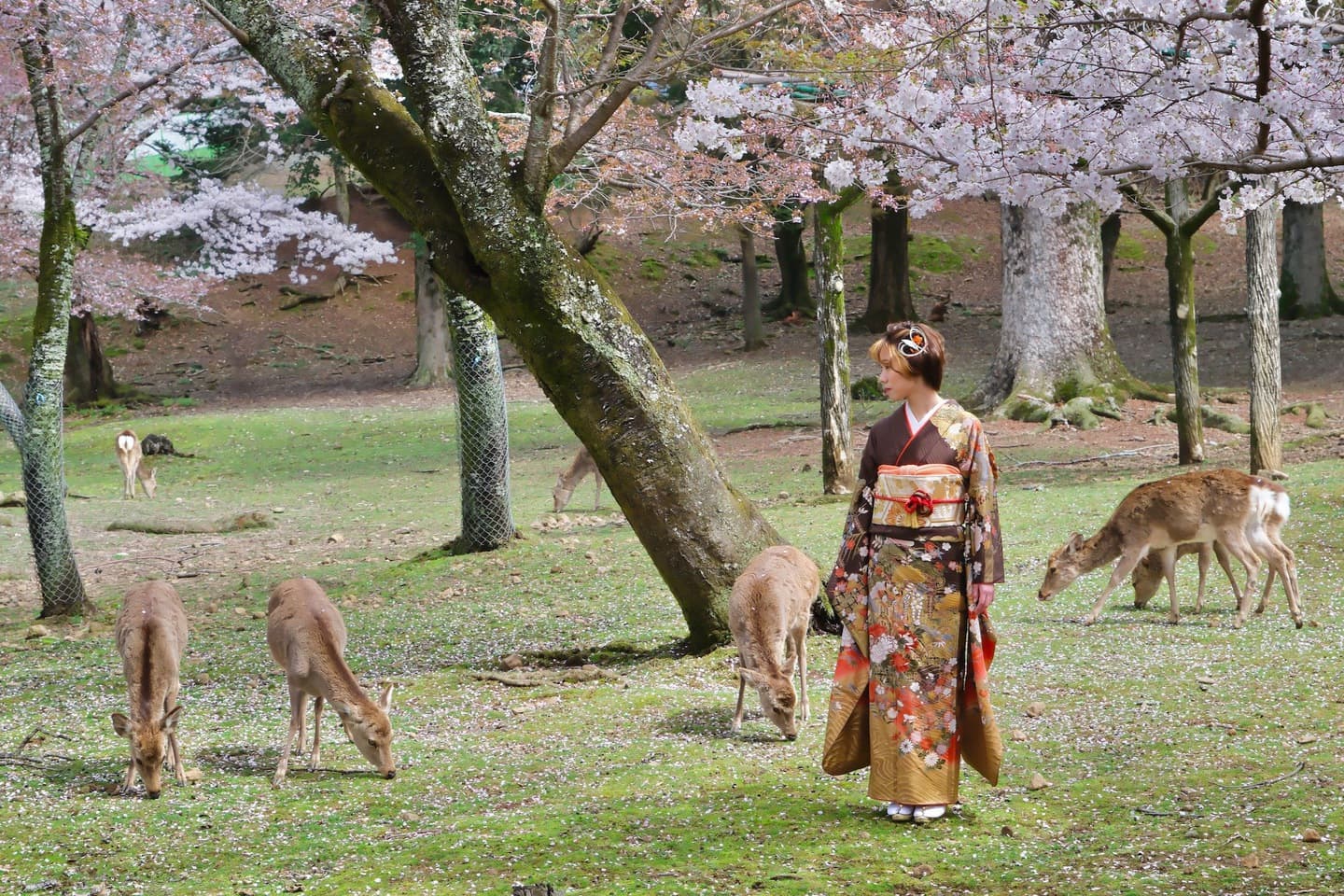 奈良での成人式前撮り写真