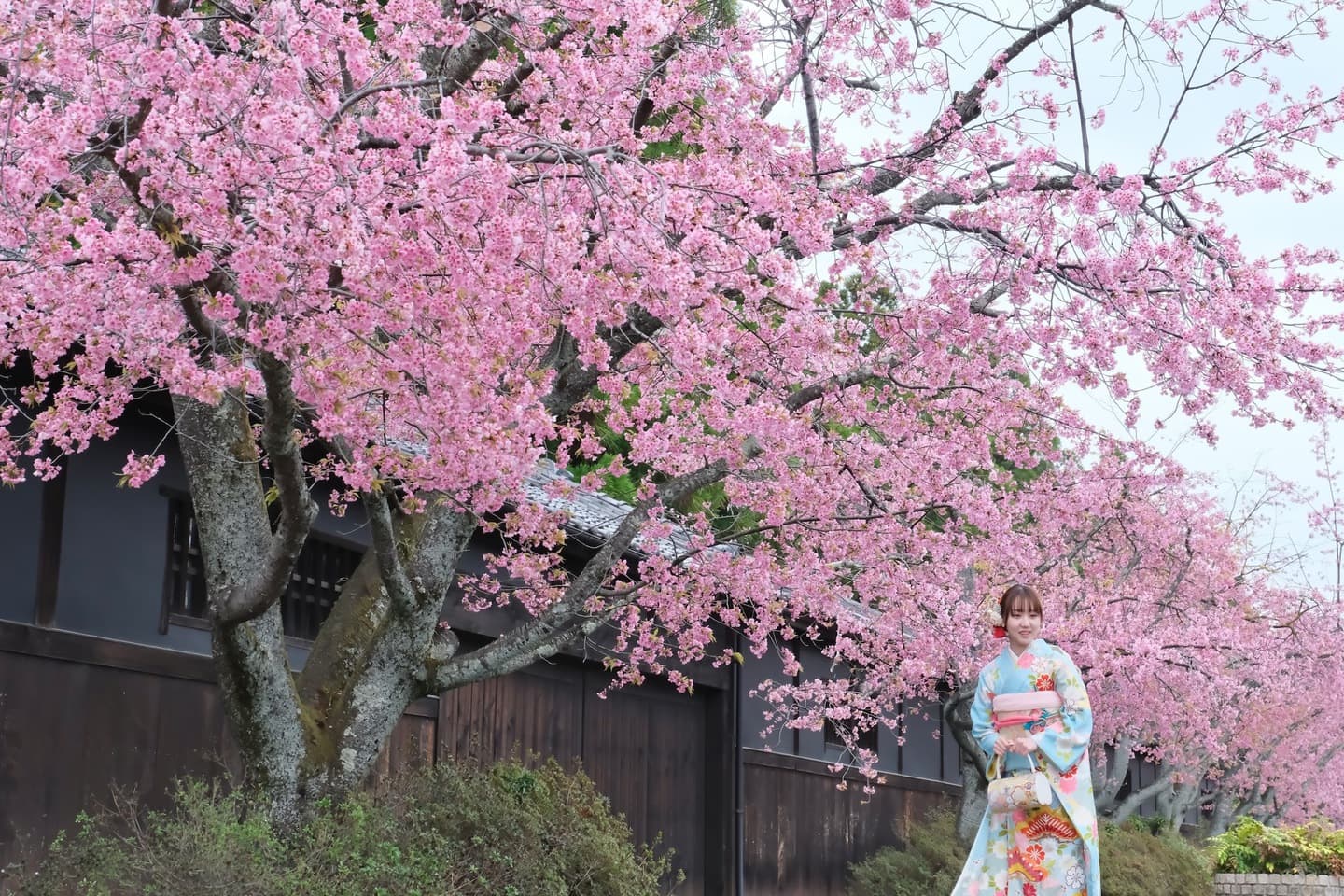 広角レンズの記念写真