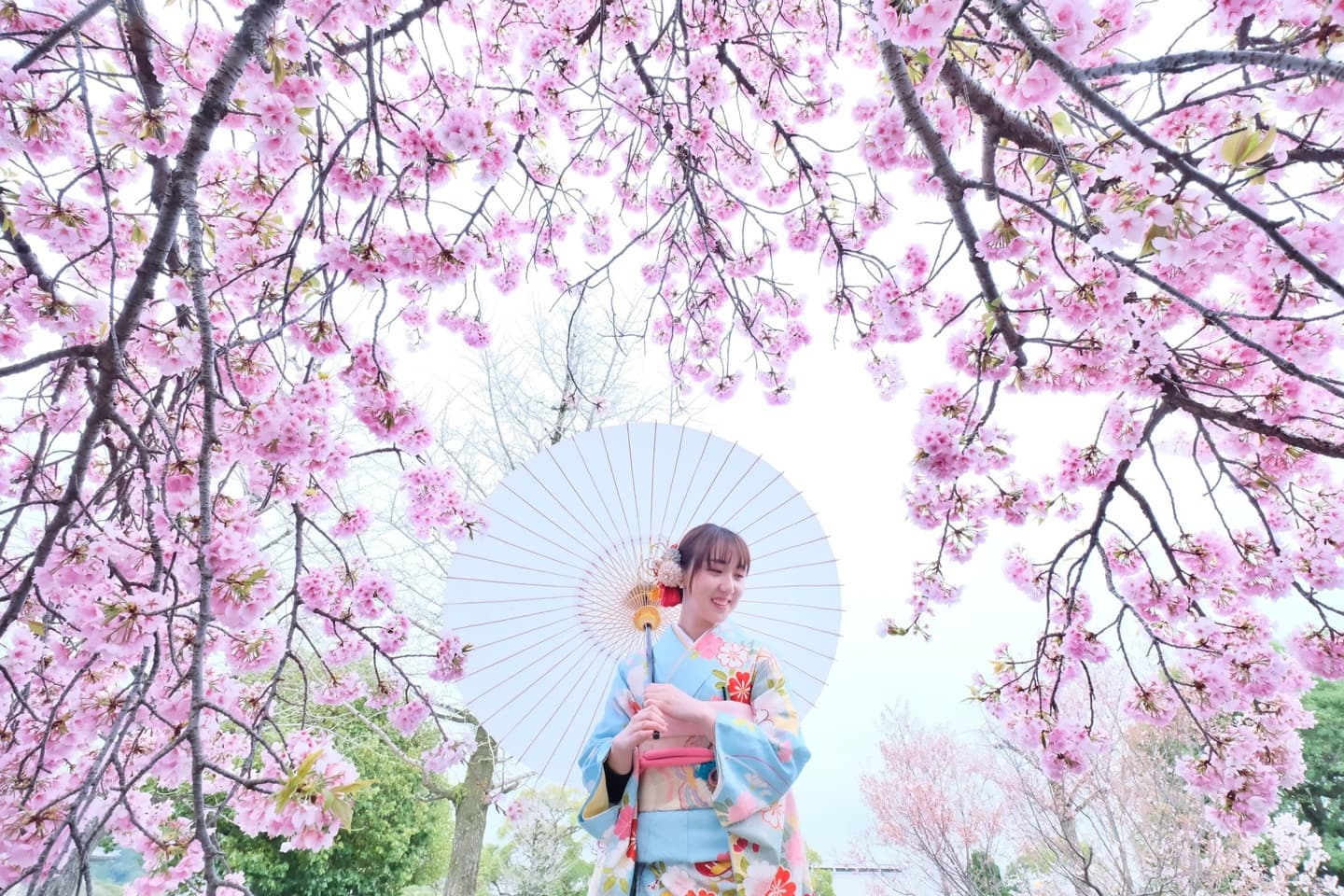 広角レンズの記念写真