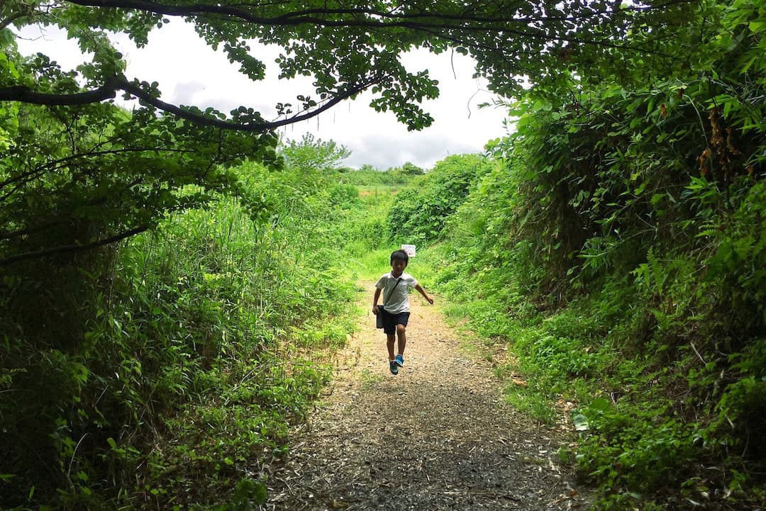 息子の夏休みの写真