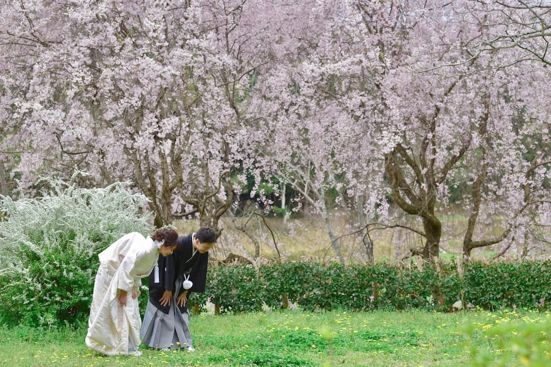 結婚式の桜の写真