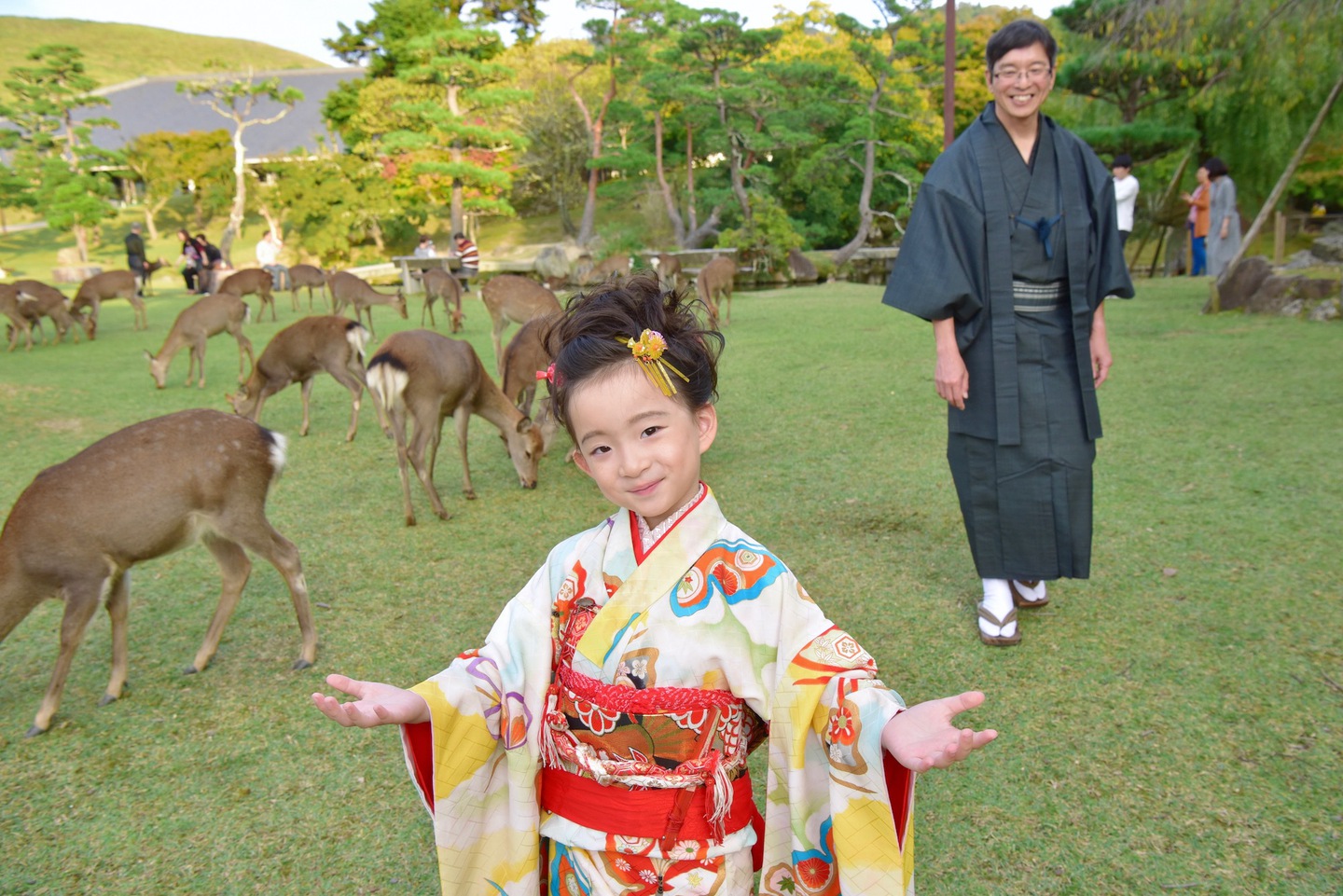 奈良公園での七五三写真