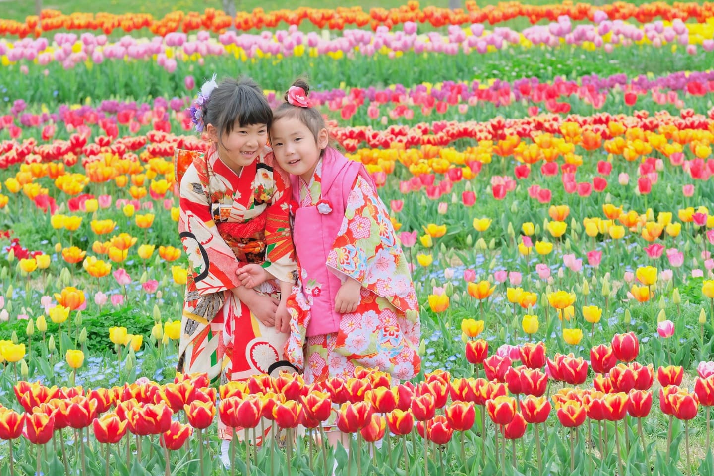 奈良で春の七五三の前撮り写真