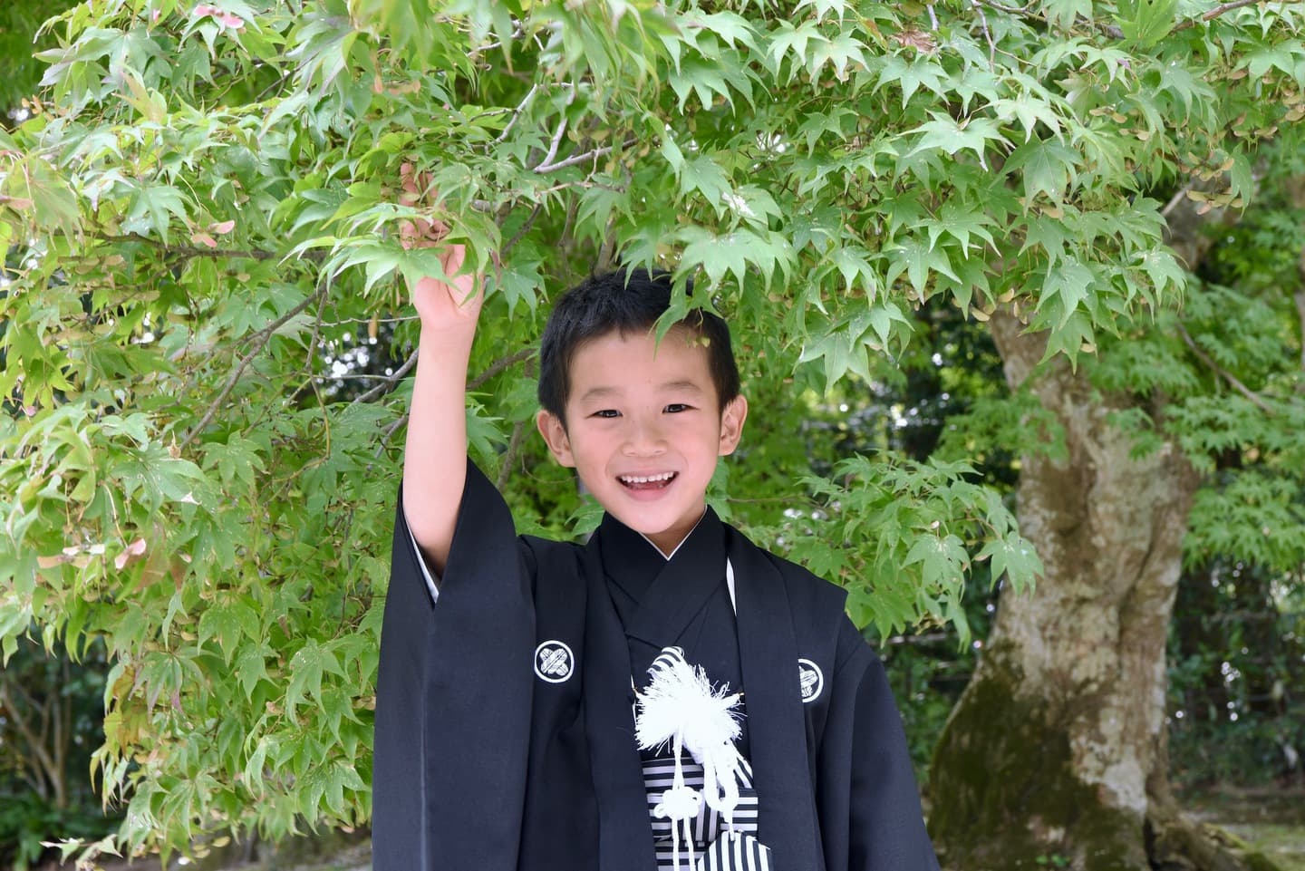 上賀茂神社で七五三の記念写真