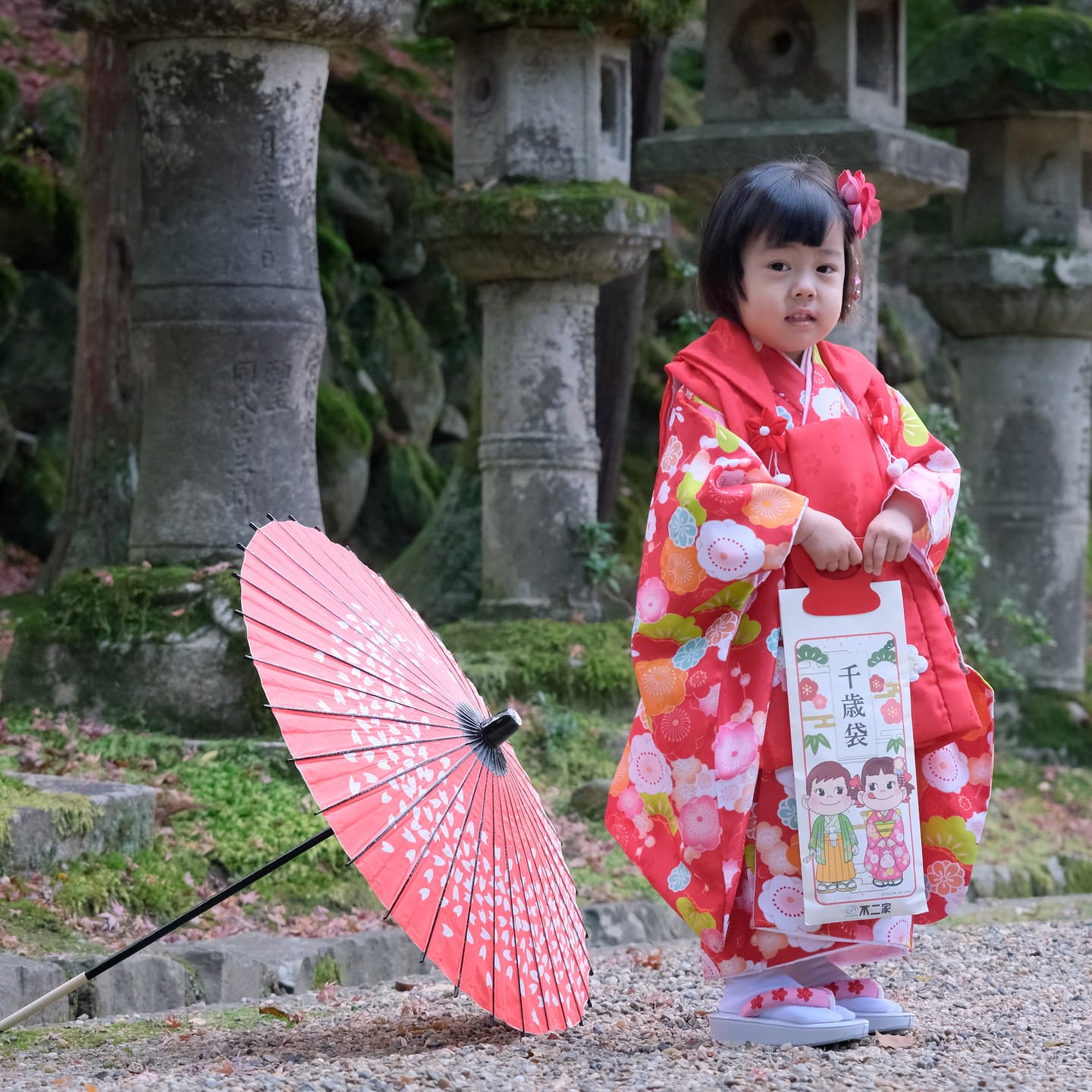 奈良の春日大社での七五三をした写真