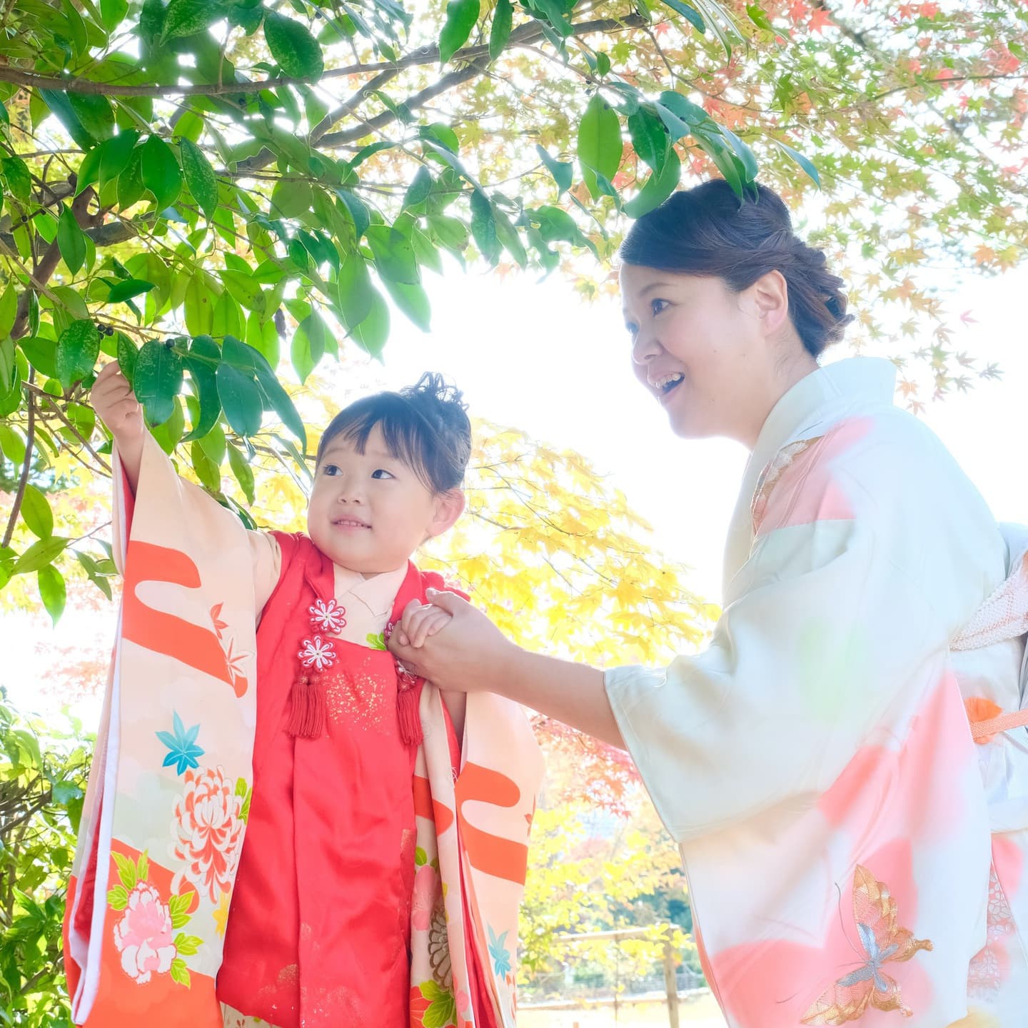 奈良の龍田大社で七五三をした写真