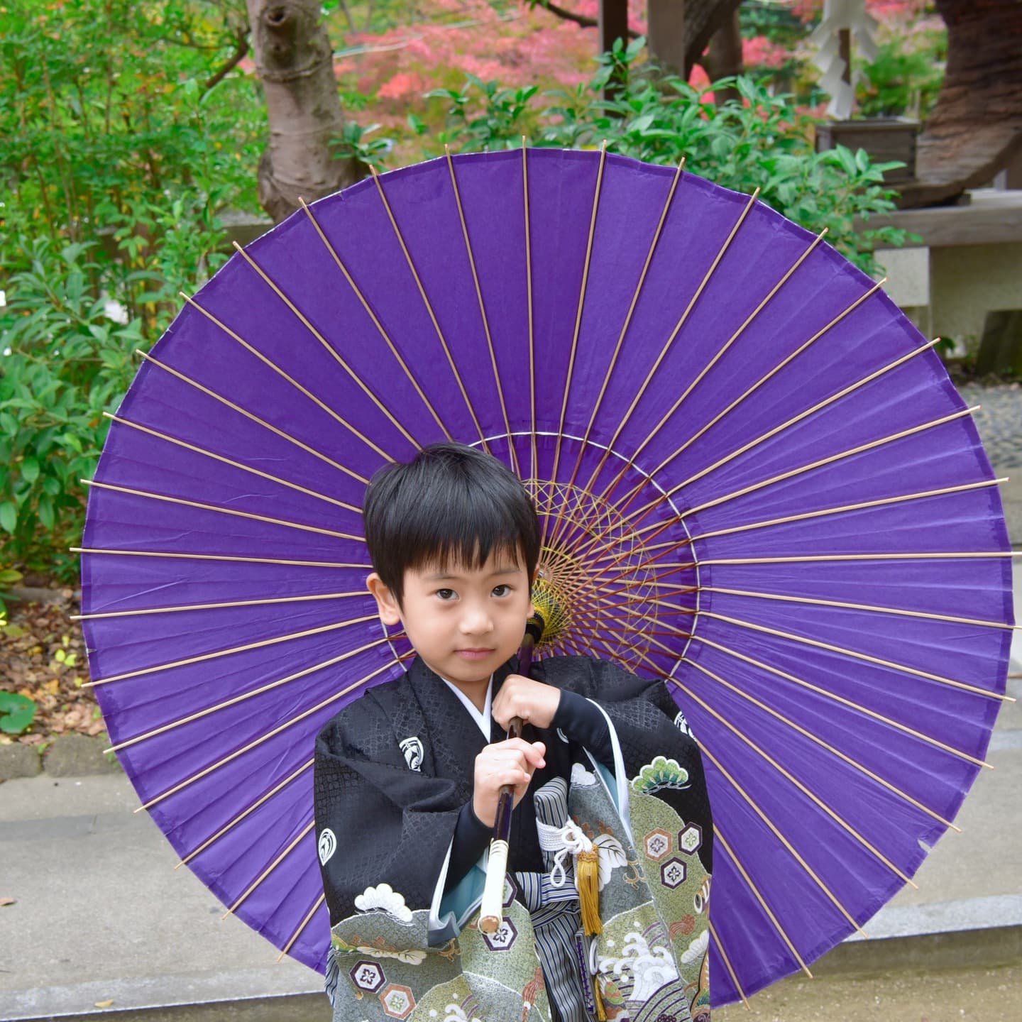 芦屋神社で七五三参りをした写真