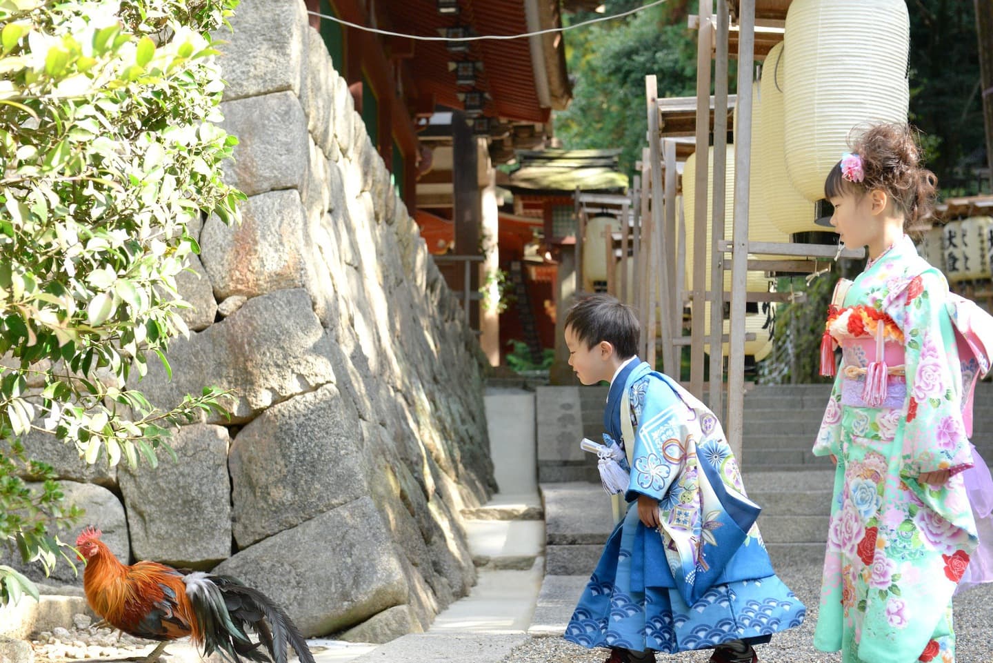 石上神宮で七五三の着物