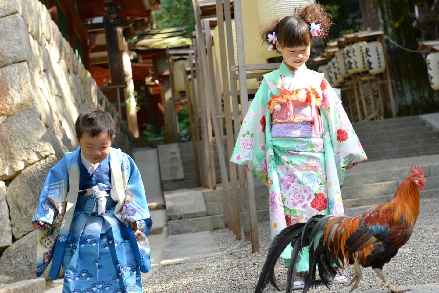 石上神宮で七五三の着物