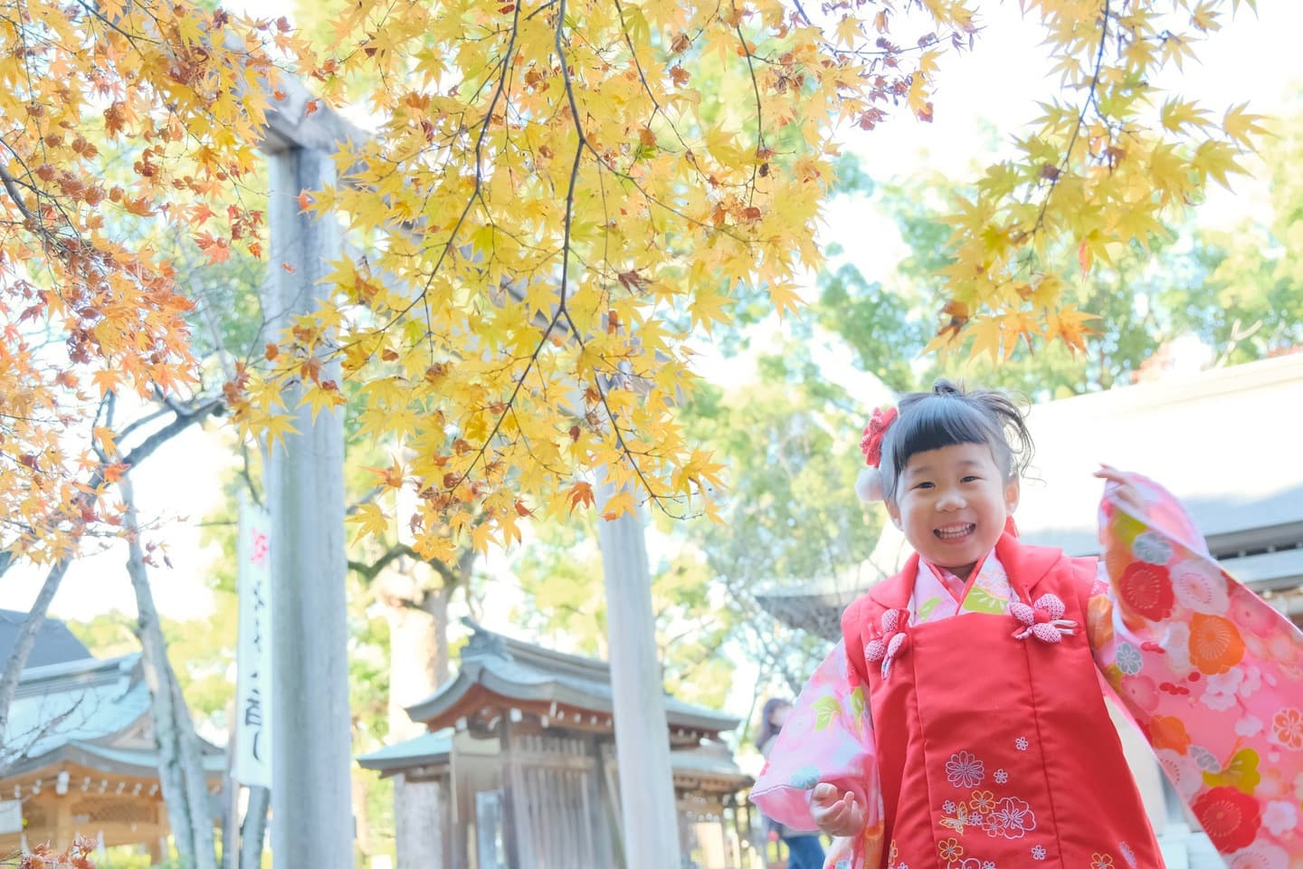 四條畷神社での七五三写真