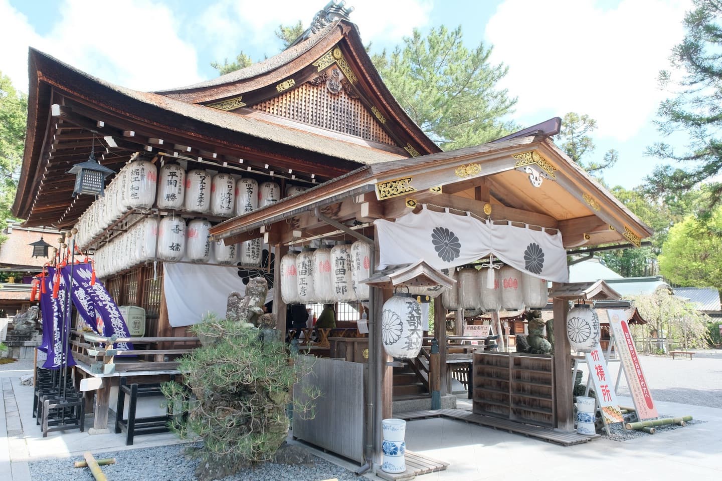 建部大社で七五三参りの女の子の写真