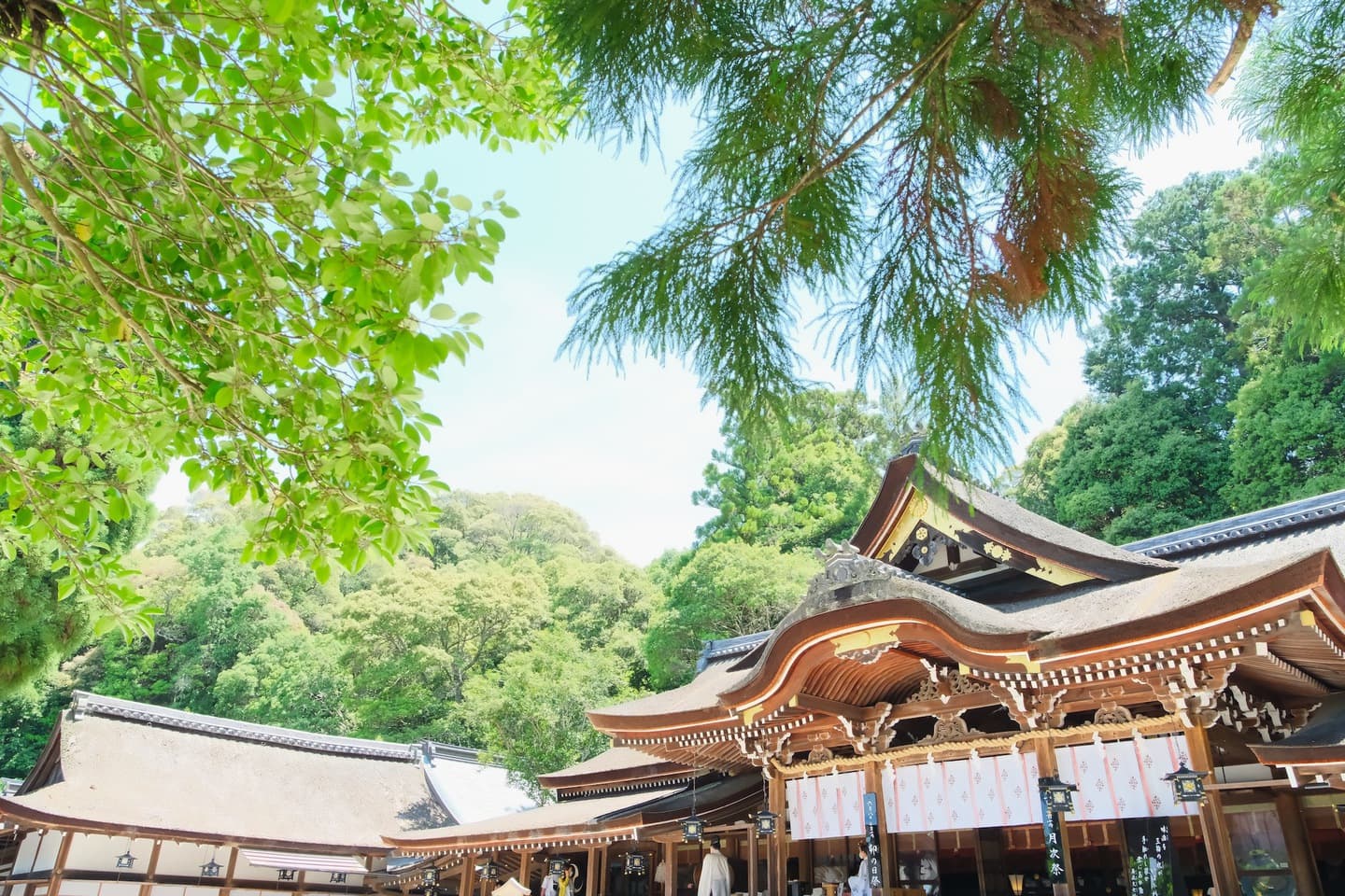 大神神社の写真