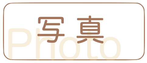 七五三の写真